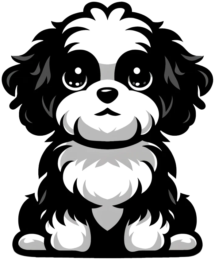 cavachon